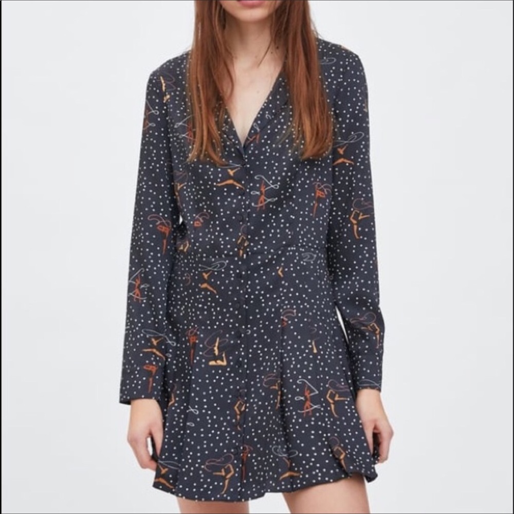 Zara Ballet Print Pleated Hem Button-down Dress